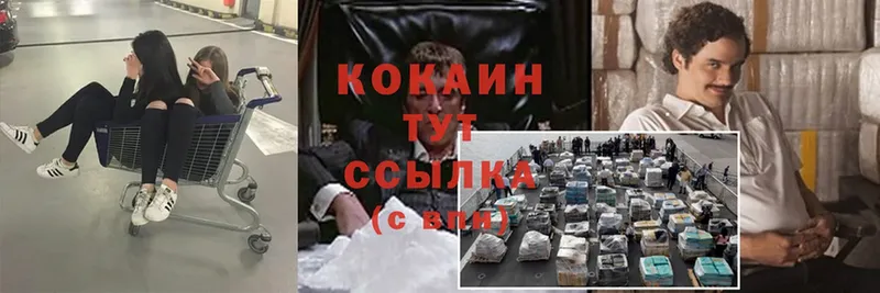 купить наркоту  Козловка  кракен зеркало  Cocaine Перу 